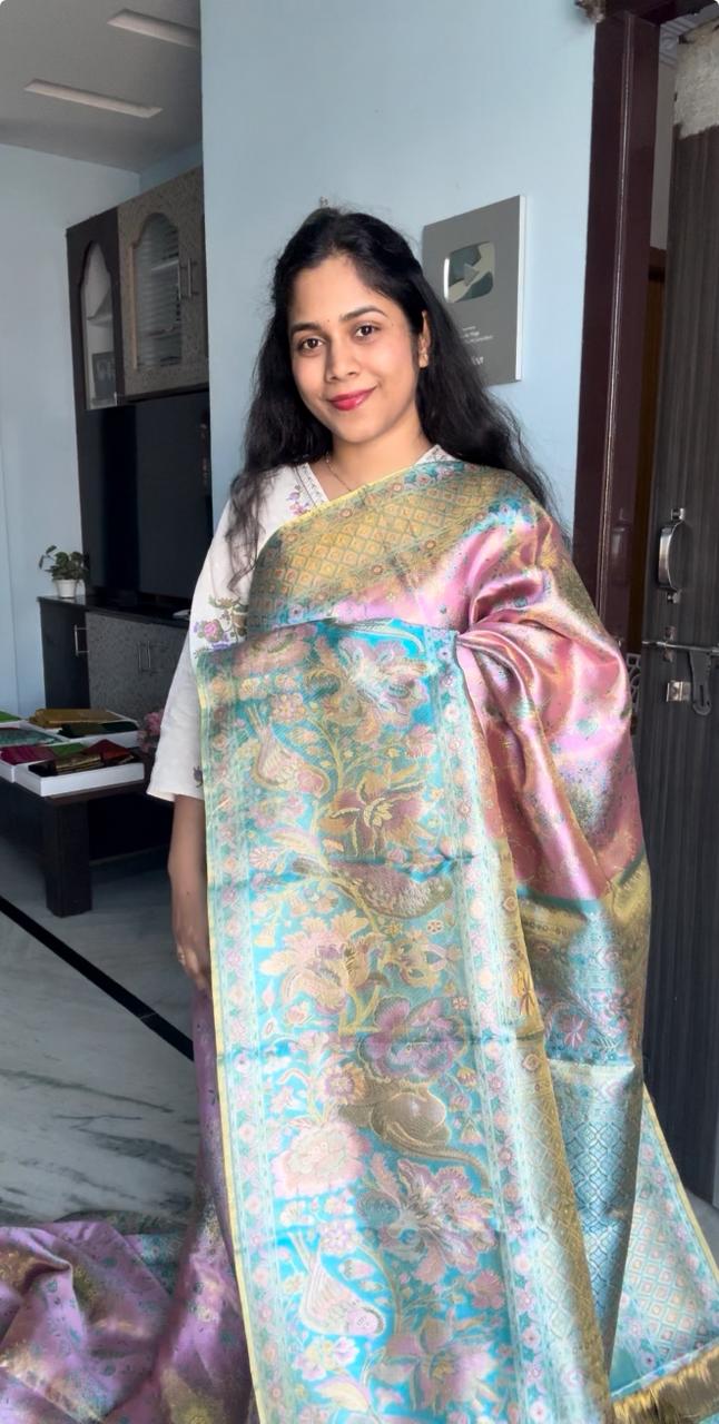 Meenakari Pink Kanchi Pattu Saree